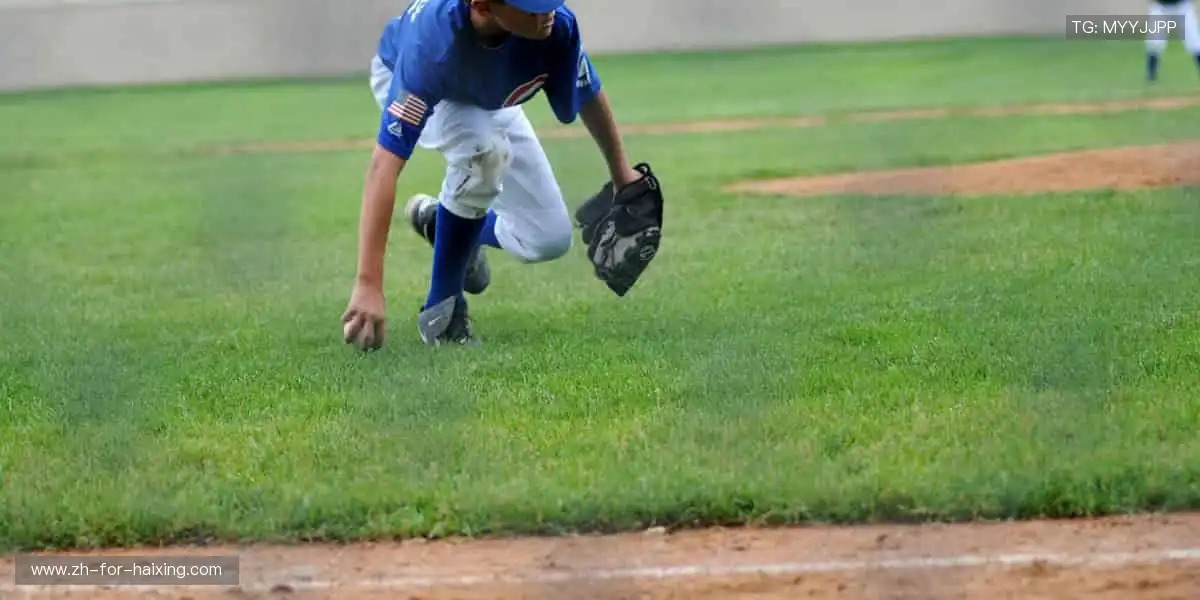 限量款来袭，手慢无！🚨🎯